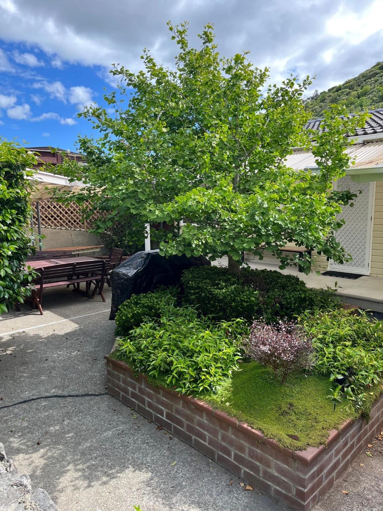 Retro 4 Bedroom Home, Warm And Welcoming, Quiet Location Porirua Eksteriør bilde